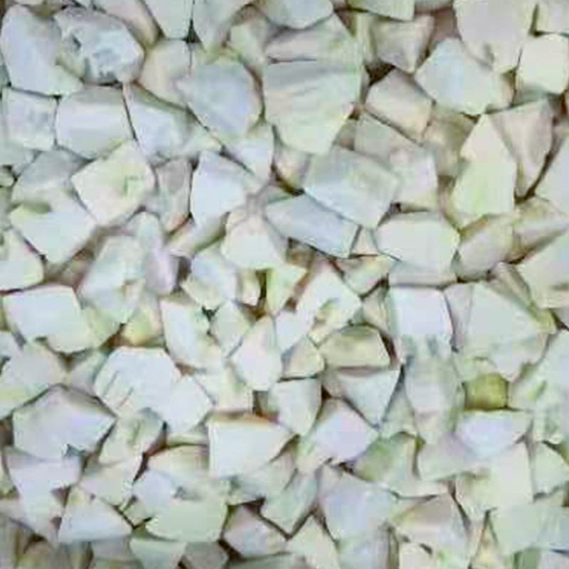 Brotes de bambú IQF cortados
